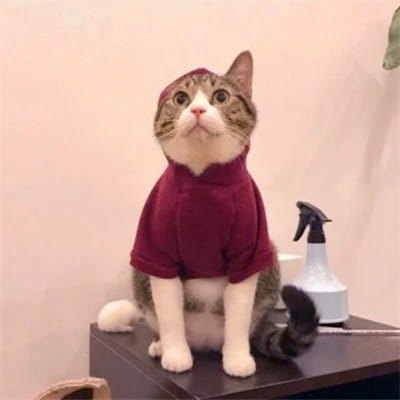 Prabowo Subianto avatar